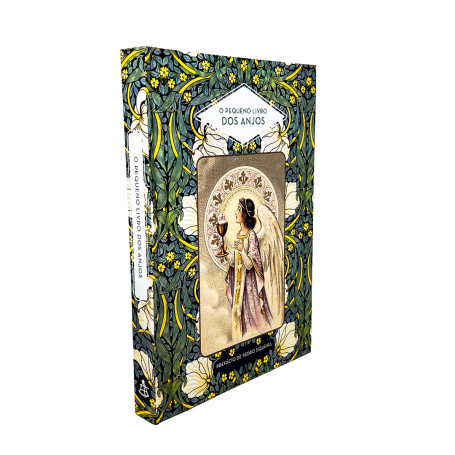 LIVRO - O PEQUENO LIVRO DOS ANJOS